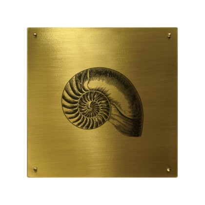 Placa Quadrada Nautilus