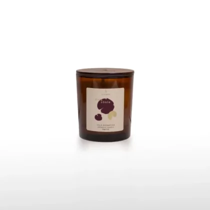 Vela Aromática Amazônia 190 GR